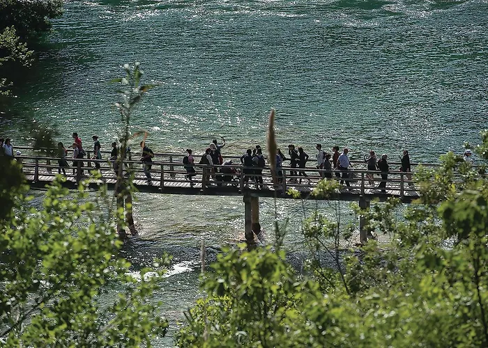 Three-bedroom In Apartment *